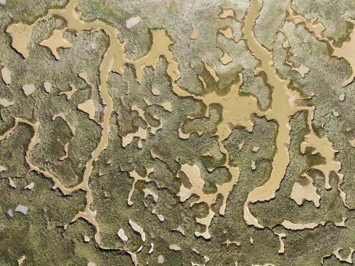 Framed Print : Network of Channels and Streams Print at Low Tide, Huelva Province, Spain Framed Print : Network of Channels and Streams Print at Low Tide, Huelva Province, Spain
