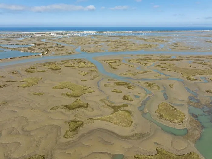 Framed Print : Network of Channels: Low Tide Print, Bahía de Cádiz, Spain Framed Print : Network of Channels: Low Tide Print, Bahía de Cádiz, Spain