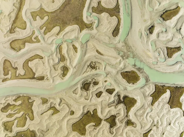 Framed Print : Network of Channels and Streams Print, Bahia de Cadiz, Spain