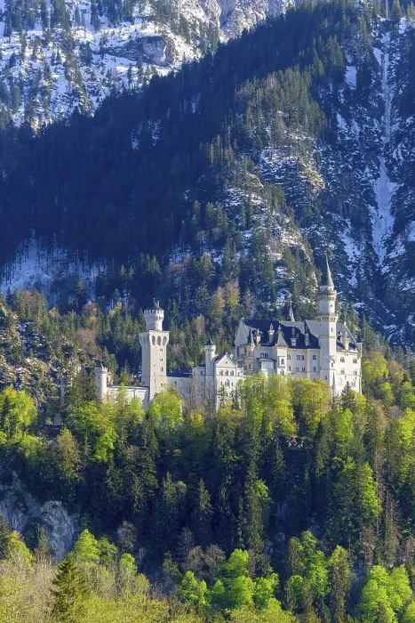 Framed Print : Neuschwanstein Castle Spring Print, Bavaria, Germany