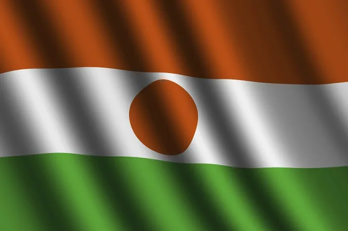 Framed Print : The Niger Flag Print - National Emblem in Motion Framed Print : The Niger Flag Print - National Emblem in Motion