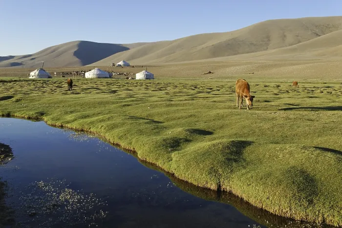 Framed Print : Nomadic Yurts Print: Mongolian Steppe Scene Framed Print : Nomadic Yurts Print: Mongolian Steppe Scene