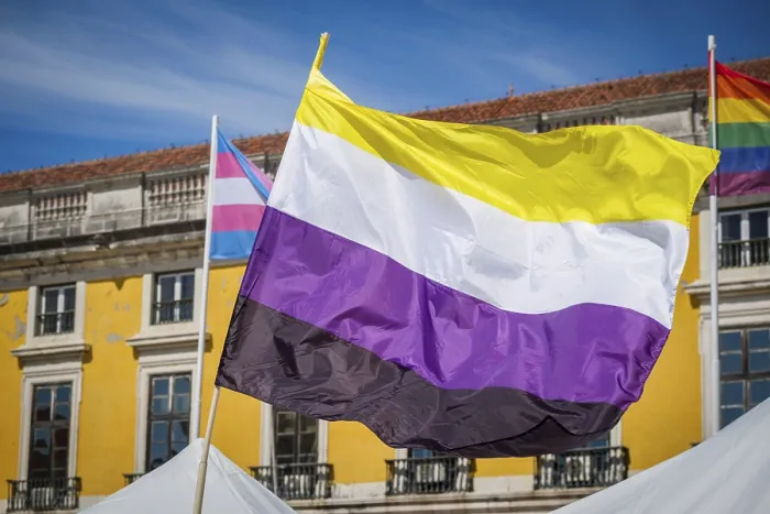 Framed Print : Nonbinary Pride Flag Waves in Lisbon Sky Print Framed Print : Nonbinary Pride Flag Waves in Lisbon Sky Print