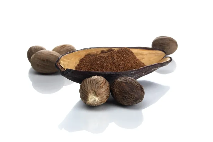 Framed Print : Nutmeg Print by ImageBROKER Framed Print : Nutmeg Print by ImageBROKER