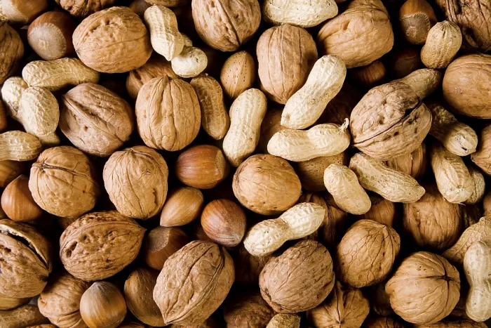 Framed Print : Nuts Nuts Print by imageBROKER Framed Print : Nuts Nuts Print by imageBROKER