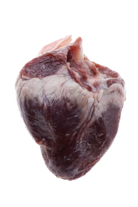 Framed Print : Raw Beef Heart Print on White Framed Print : Raw Beef Heart Print on White
