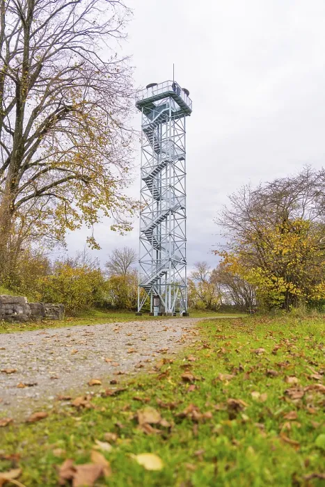 Framed Print : Observation Tower Print, Sulz am Neckar, Germany