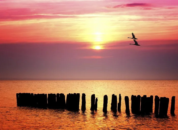 Framed Print : Ocean Sunset Print Framed Print : Ocean Sunset Print