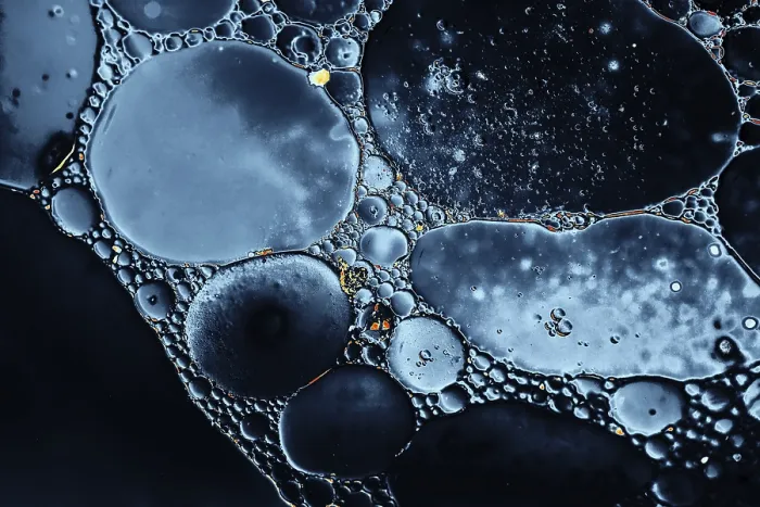Framed Print : Oil Bubbles Inside Water Base Form Patterns Print Framed Print : Oil Bubbles Inside Water Base Form Patterns Print