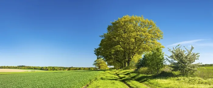 Framed Print : Spring Landscape Print: Reinhardswald, Germany Framed Print : Spring Landscape Print: Reinhardswald, Germany