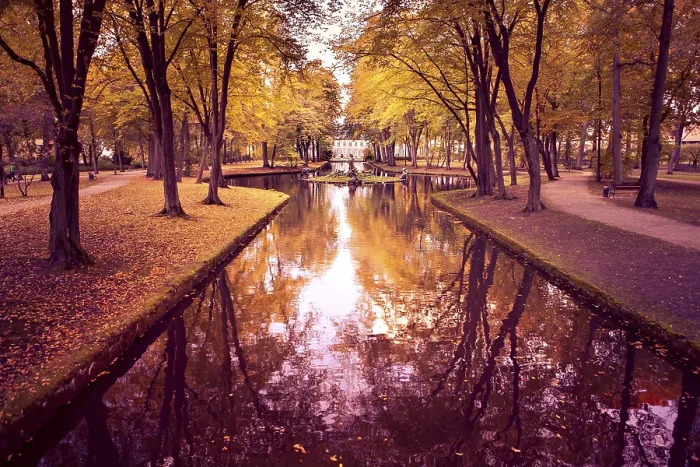 Framed Print : Old Park in Fall Germany Print Framed Print : Old Park in Fall Germany Print