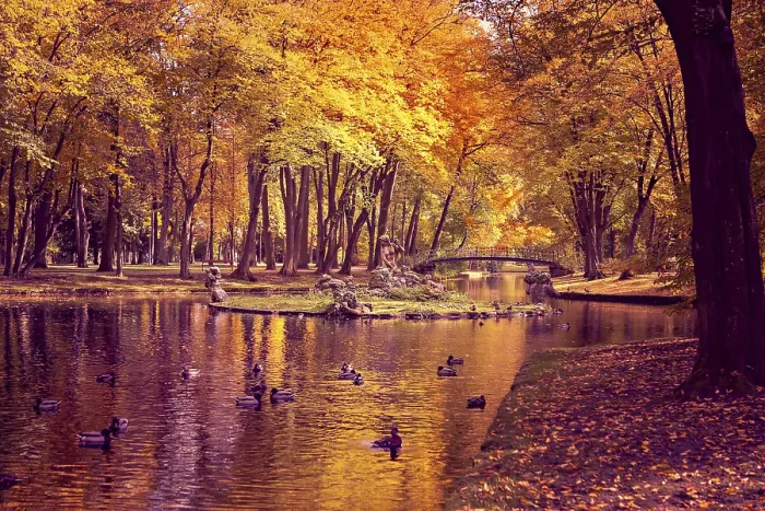 Framed Print : Old Park in Fall Germany Print Framed Print : Old Park in Fall Germany Print