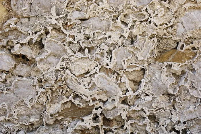 Framed Print : Old Weathered Wall Print, Close-Up Detail Framed Print : Old Weathered Wall Print, Close-Up Detail