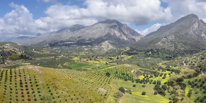 Framed Print : Preveli Olive Trees in Spring Print, Crete, Greece Framed Print : Preveli Olive Trees in Spring Print, Crete, Greece