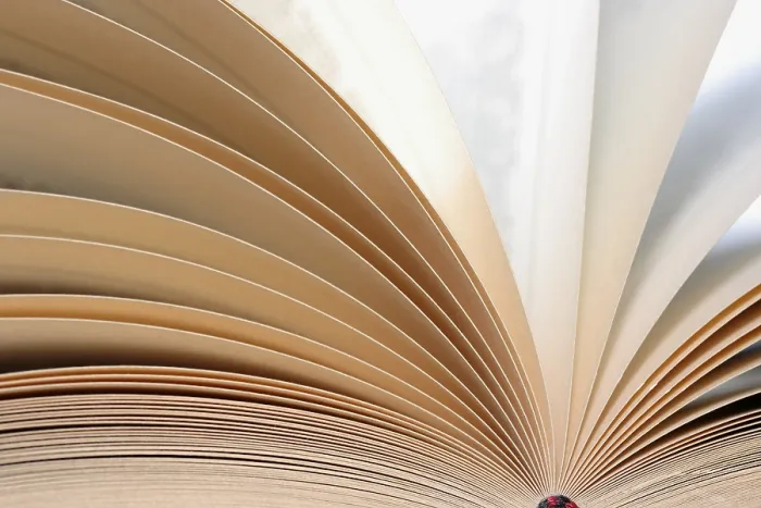 Framed Print : Open Book Print: Detailed Pages Framed Print : Open Book Print: Detailed Pages