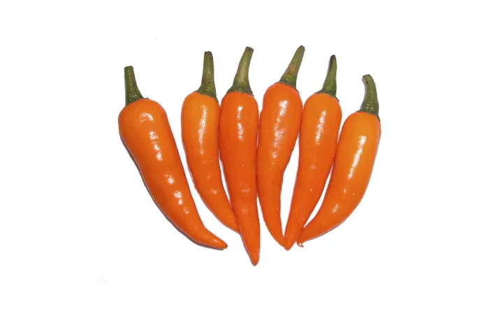 Framed Print : Print of Orange Chilies Framed Print : Print of Orange Chilies