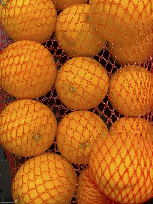 Framed Print : Oranges in Plastic Net Bag Print Framed Print : Oranges in Plastic Net Bag Print