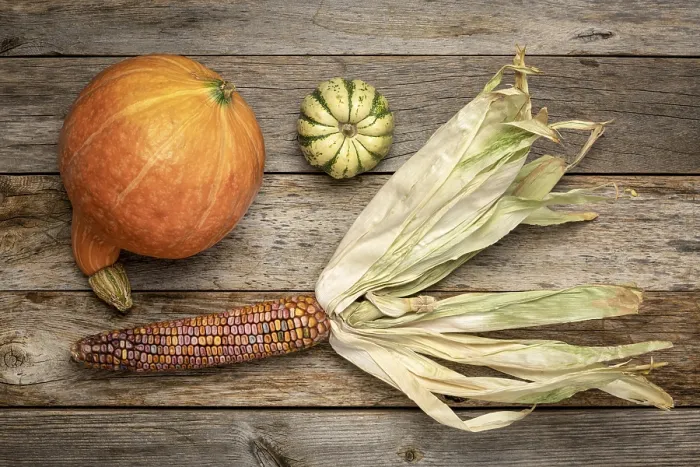 Framed Print : Ornamental Corn and Winter Squash Print on Rustic Wood Framed Print : Ornamental Corn and Winter Squash Print on Rustic Wood