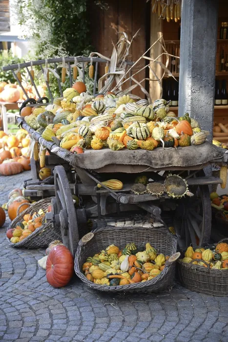 Framed Print : Ornamental Pumpkins Print Framed Print : Ornamental Pumpkins Print