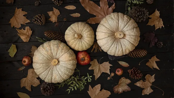Framed Print : Autumn Harvest Print: Pumpkins, Pine Cones, and Pomegranates Framed Print : Autumn Harvest Print: Pumpkins, Pine Cones, and Pomegranates