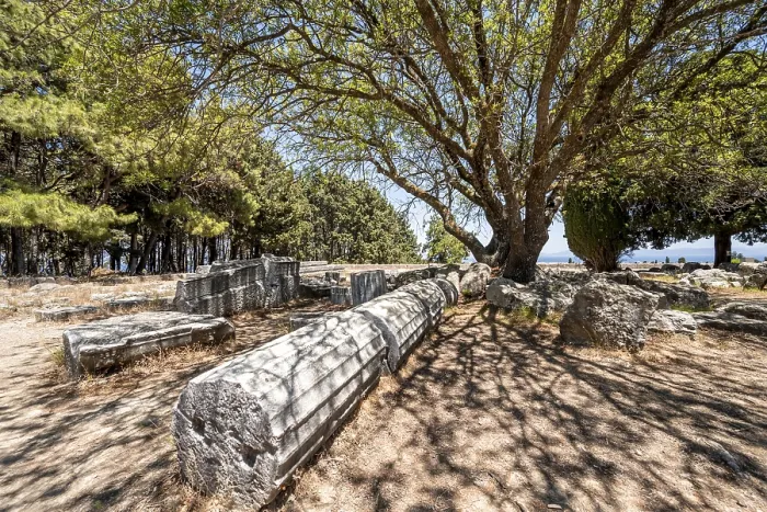 Framed Print : Overturned Roman Columns Under a Tree Print, Kos, Greece Framed Print : Overturned Roman Columns Under a Tree Print, Kos, Greece
