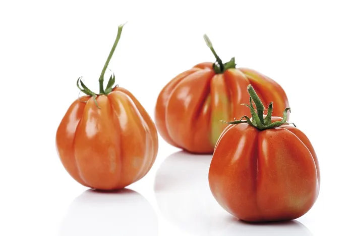 Framed Print : Oxheart Tomatoes Print Framed Print : Oxheart Tomatoes Print