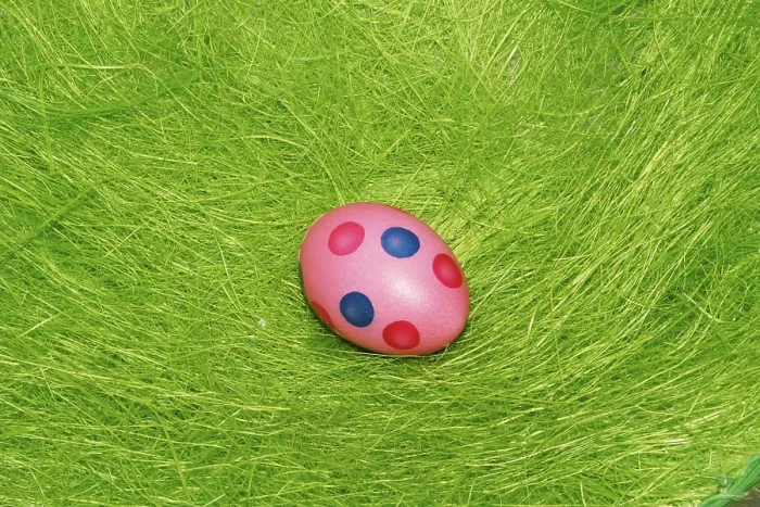 Framed Print : Painted Easter Egg on the Grass Print Framed Print : Painted Easter Egg on the Grass Print