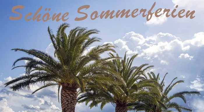 Framed Print : Palm Trees Print: Tropical Summer Scene Framed Print : Palm Trees Print: Tropical Summer Scene