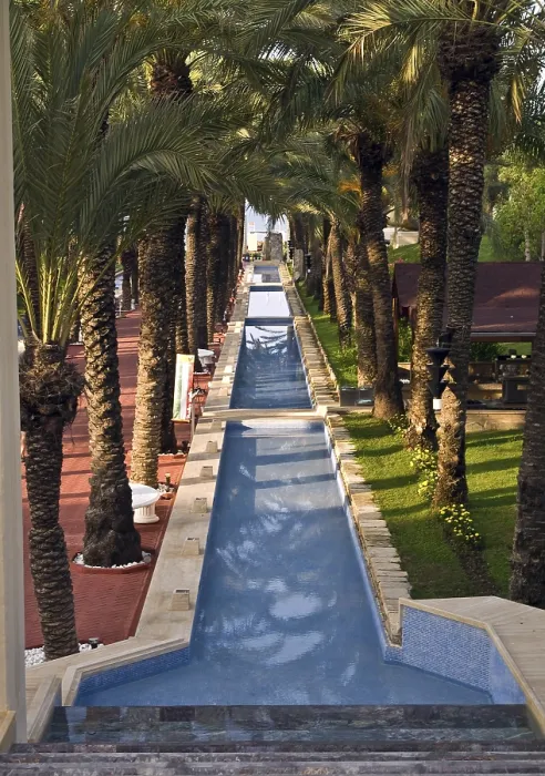 Framed Print : Palm Trees Providing Shade Print