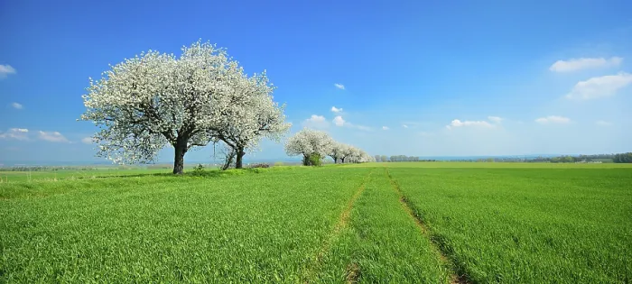 Framed Print : Panorama Print: Spring Fields in Thuringia, Germany Framed Print : Panorama Print: Spring Fields in Thuringia, Germany