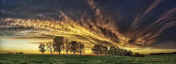 Framed Print : Panorama Print: Trees and Cloud Front Framed Print : Panorama Print: Trees and Cloud Front