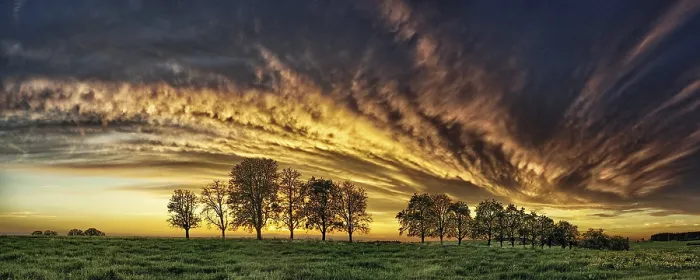 Framed Print : Panorama Print: Trees and Cloud Front Framed Print : Panorama Print: Trees and Cloud Front
