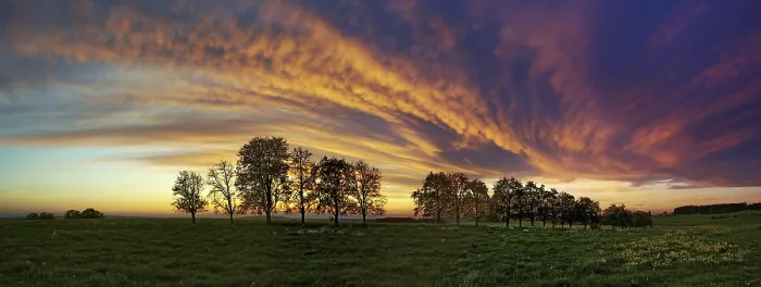 Framed Print : Panorama Print: Trees in Cloud Front Approach Framed Print : Panorama Print: Trees in Cloud Front Approach