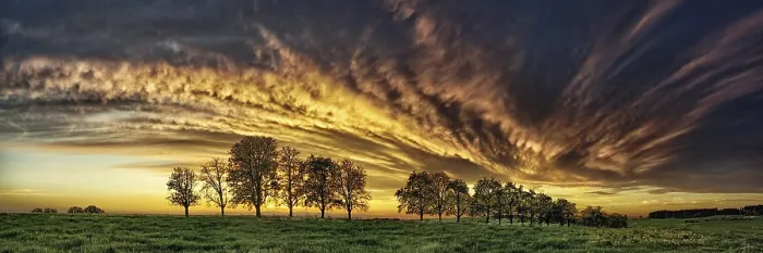 Framed Print : Panorama Print: Trees and Cloud Front Framed Print : Panorama Print: Trees and Cloud Front