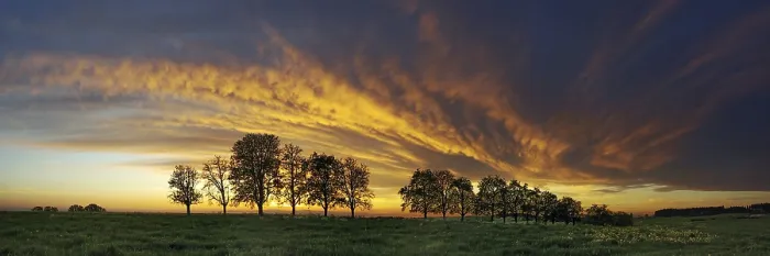 Framed Print : Panorama Print: Trees in Cloud Front Approach Framed Print : Panorama Print: Trees in Cloud Front Approach