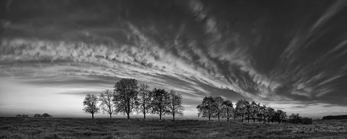 Framed Print : Panorama Print: Trees in the Approach of a Cloud Front Framed Print : Panorama Print: Trees in the Approach of a Cloud Front