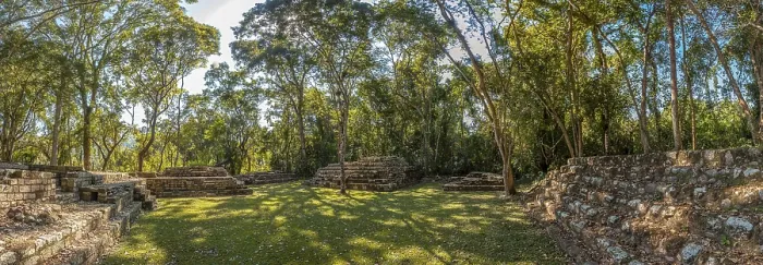 Framed Print : Panoramic Print of Copan Ruinas Temples Under Trees Framed Print : Panoramic Print of Copan Ruinas Temples Under Trees