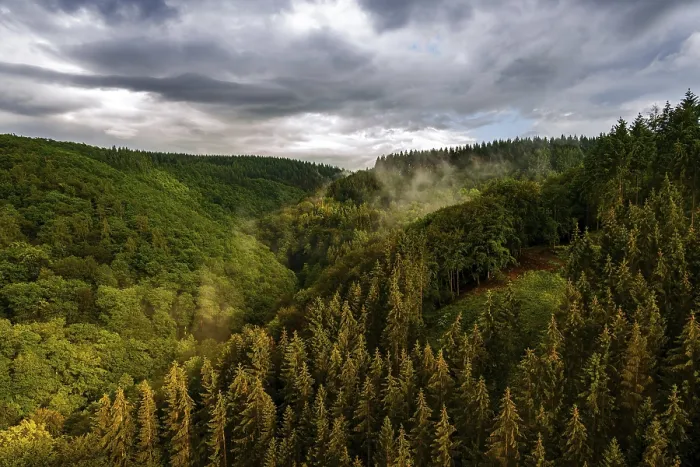 Framed Print : Panoramic View of Eifel, Germany Print Framed Print : Panoramic View of Eifel, Germany Print