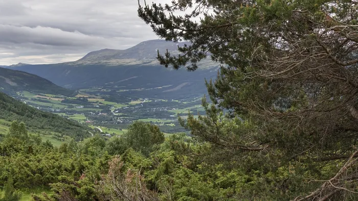 Framed Print : Panoramic View of Gudbrandsdalen Valley Print, Norway Framed Print : Panoramic View of Gudbrandsdalen Valley Print, Norway