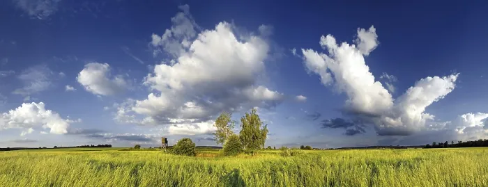 Framed Print : Panoramic View of Bavarian Meadows Print Framed Print : Panoramic View of Bavarian Meadows Print