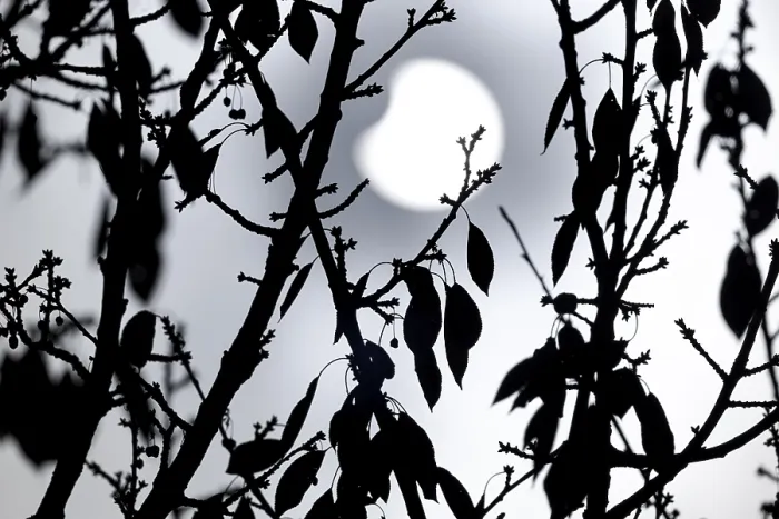 Framed Print : Partial Solar Eclipse Print, Allensbach, Germany, 25.10.2022