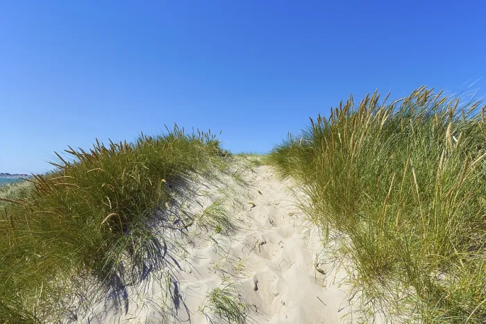 Framed Print : Path through Dunes to the Beach Print, Klittmoller, Denmark