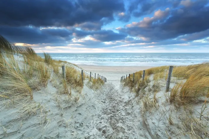 Framed Print : Path on sand to beach at sunset Print, North Holland, Netherlands Framed Print : Path on sand to beach at sunset Print, North Holland, Netherlands