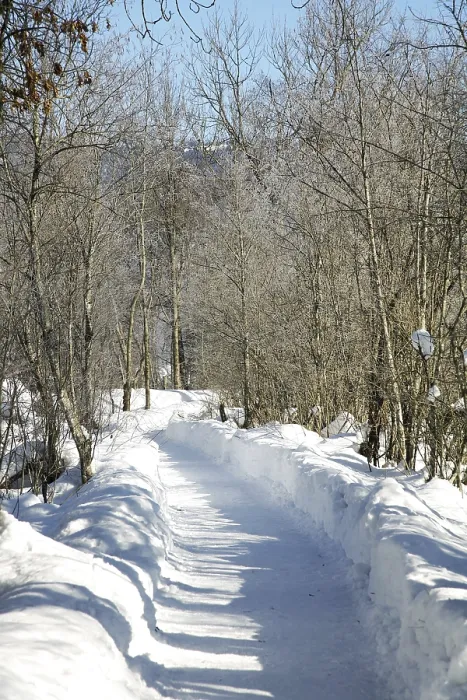 Framed Print : Path in the Snow Print Framed Print : Path in the Snow Print