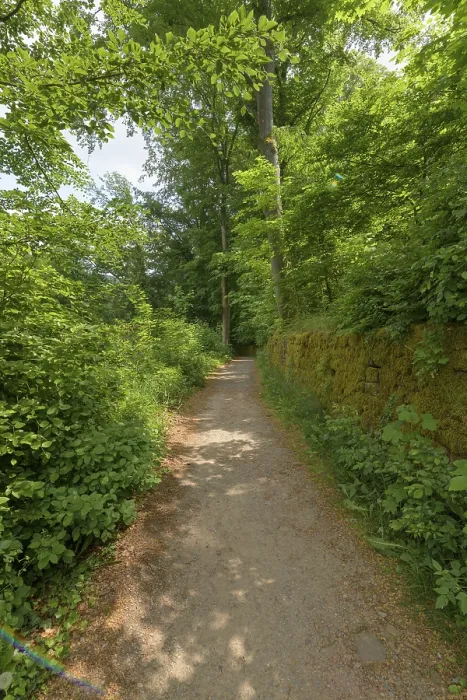 Framed Print : Path in Spring Print, Neckarsteinach, Germany