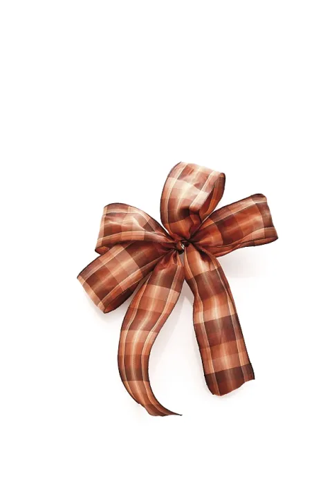 Framed Print : Patterned Gift Ribbon in a Bow Print Framed Print : Patterned Gift Ribbon in a Bow Print
