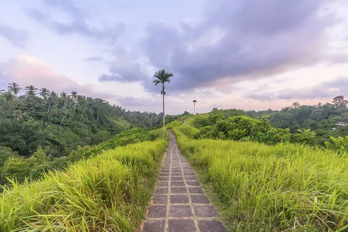 Framed Print : Tropical Path Print, Ubud, Bali Framed Print : Tropical Path Print, Ubud, Bali