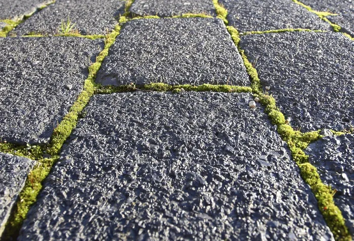 Framed Print : Pavement with moss Print Framed Print : Pavement with moss Print