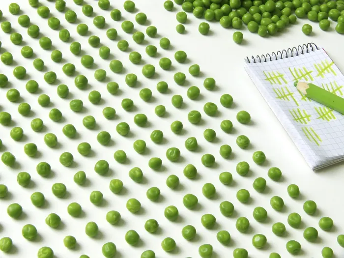 Framed Print : Pea Counting Print by ImageBROKER Framed Print : Pea Counting Print by ImageBROKER