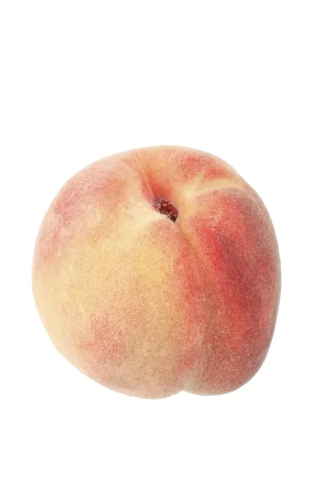 Framed Print : Peach Peach Print by [Artist Name]